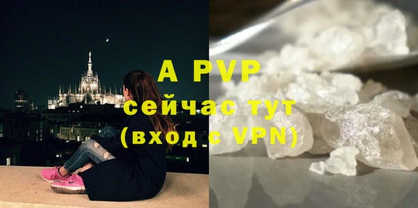 прущие грибы Медногорск