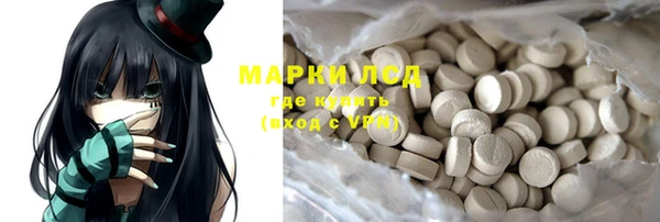 прущие грибы Медногорск