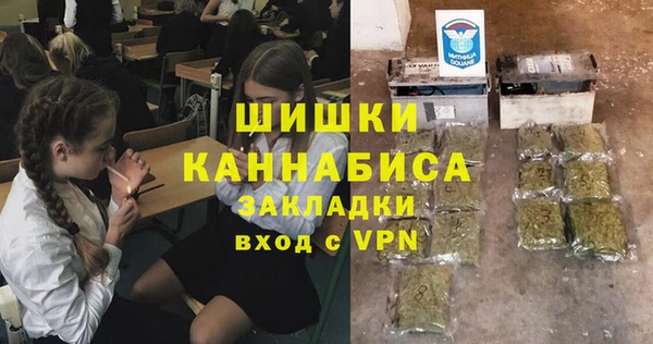 прущие грибы Медногорск
