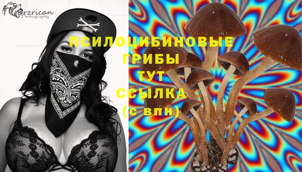 дживик Магадан